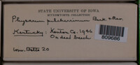 Image Associated With the Occurence